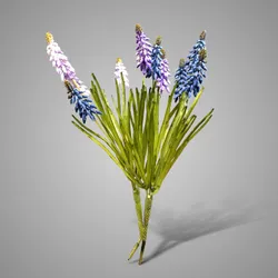 Sortment Muskari Blue/Pink 28 cm