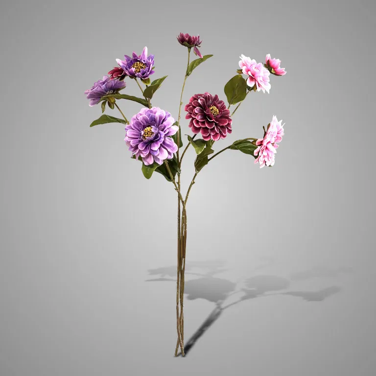 Sortment of Zinia Blue/Purple/Pink 72 cm