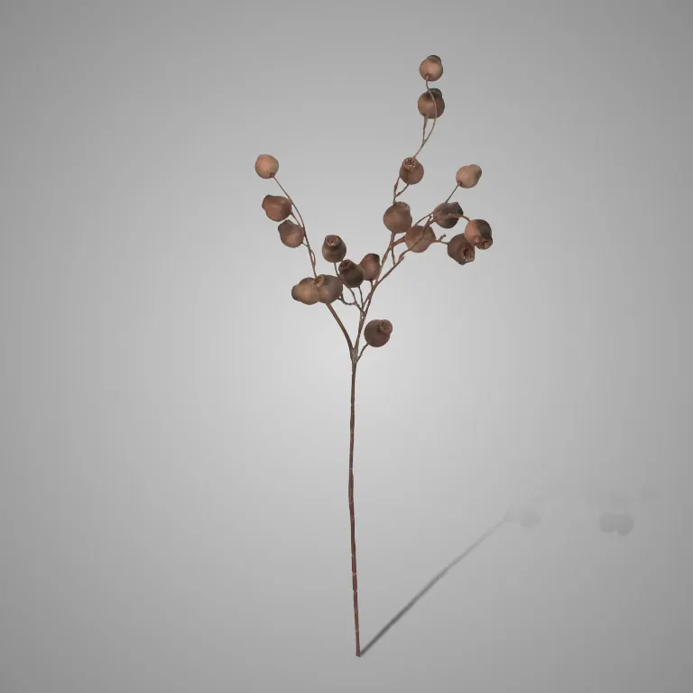 Mespulus Stem Brown 70 cm