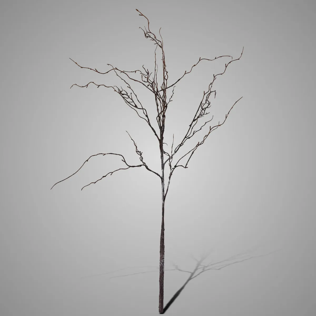 Willow Twig Autumn 90 cm
