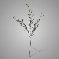 Olive Ancient Grey 110 cm