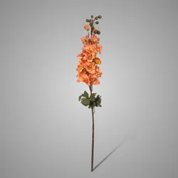 Delphinium Copper 75 cm