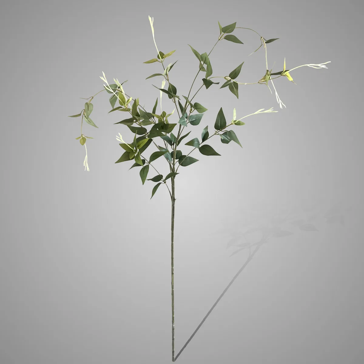 Fallopia Green 100 cm