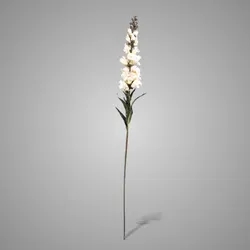 Antirrhinum White 92 cm