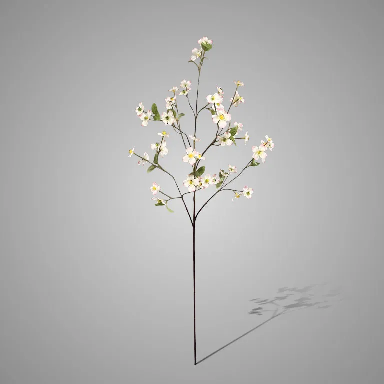 Cornus Kousa Pink 94 cm