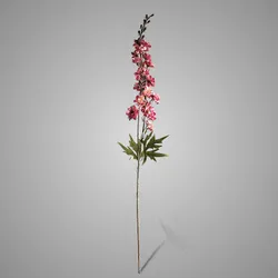 Delphinium Pink 90 cm