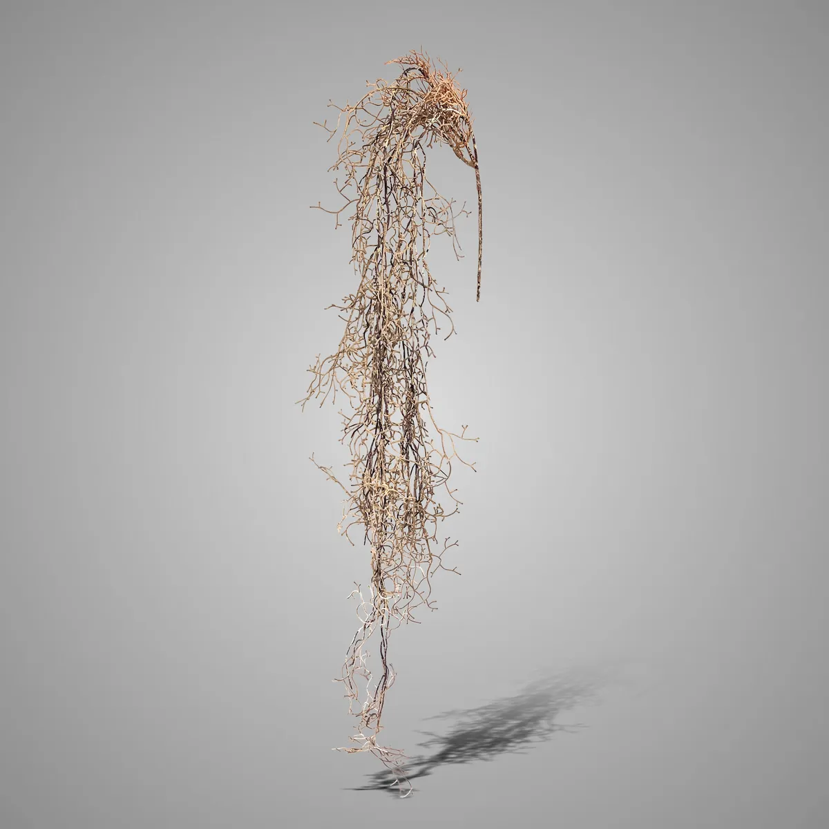 Hanging Tillandsia Brown 120 cm