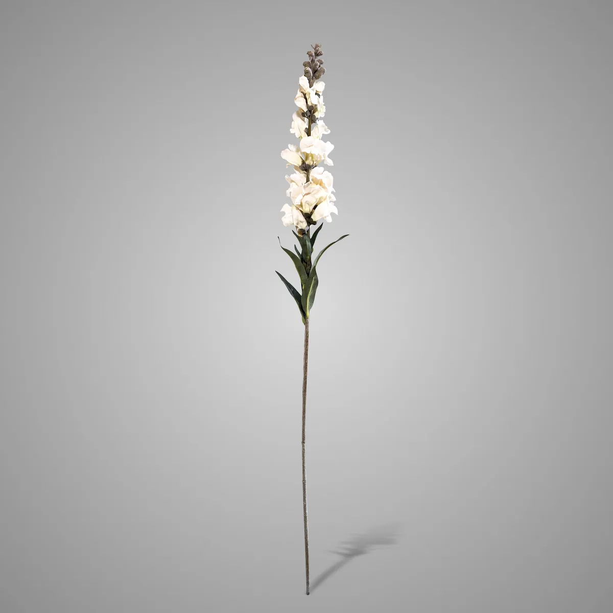 Antirrhinum White 92 cm