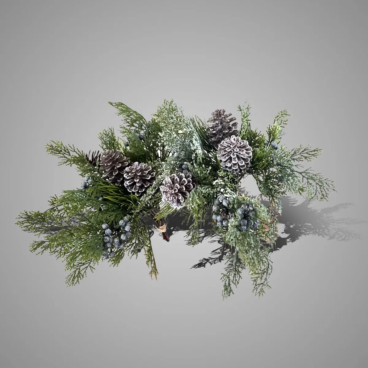Sort. of 2 Cederbushes With Fructus 40 cm