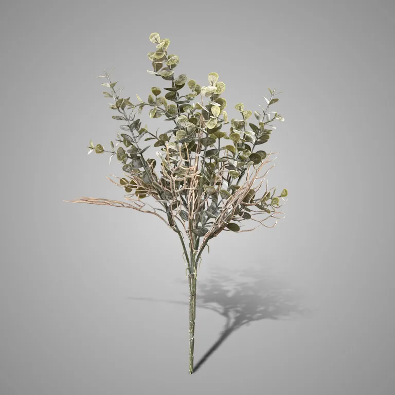 Bush Eucalyptus Ancient Grey  35 cm