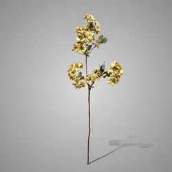 Prunus Sakura Green 81 cm