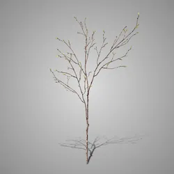 Spring Buds Green 100 cm