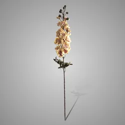 Delphinium Yellow Pink 75 cm