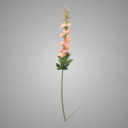 Delphinium Light Pink 79 cm