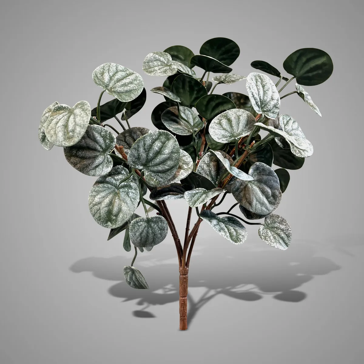 Bush Saintpaulia Dark Green 35 cm