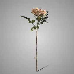 Peony Yellow Pink 65 cm