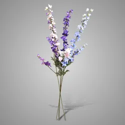 Sortment of Delphinium Pinks and Blues 95 cm