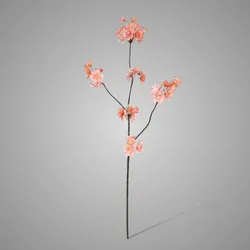 Prunus Malaga spray lavender 84cm