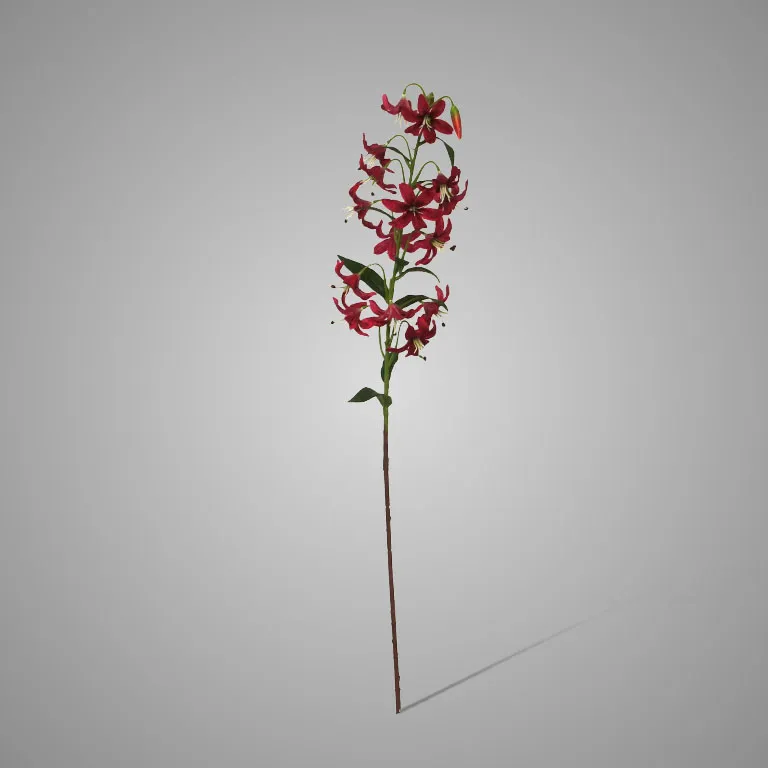 Cap Lily Dark Red 82 cm