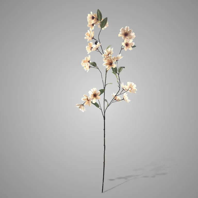 Cornus Grande De Luxe Off White 100 cm