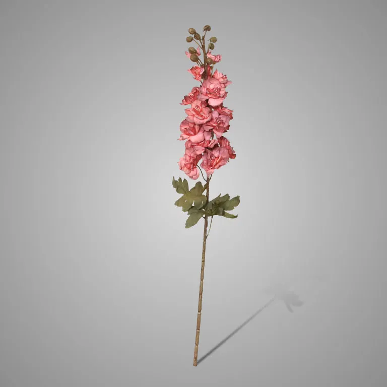Delphinium Ant. Pink 75 cm