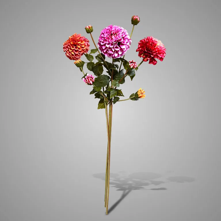 Cornus Carved Grande Pink 120 cm