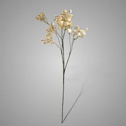 Gypsophila Off White 70 cm