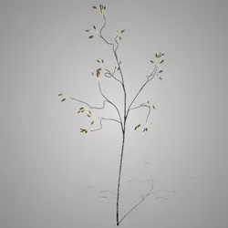 Rose Bus Green 125 cm