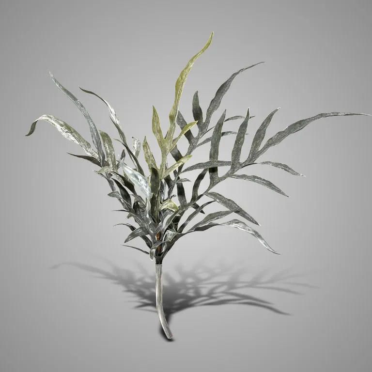 Bush Dearhorn Fern Grey Green 40 cm