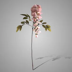 Wisteria Grande Pink 100 cm