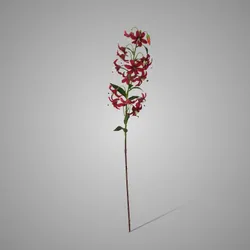 Cap Lily Dark Red 82 cm