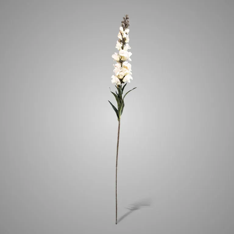 Antirrhinum White 92 cm