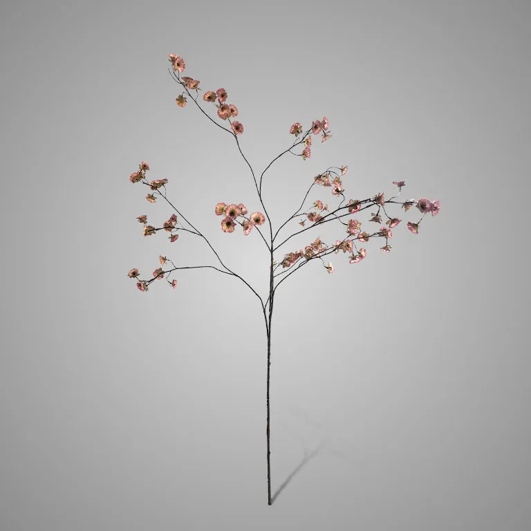 Cornus Carved Grande Pink 135 cm