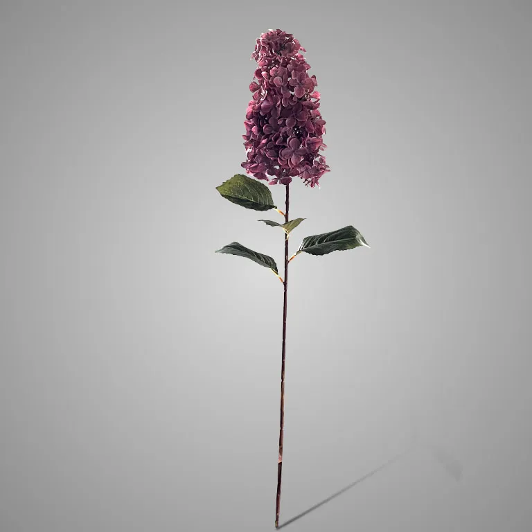 Hydrangea Paniculata Pink 90 cm