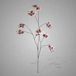 Prunus Grande Luxury Bright Pink 120cm