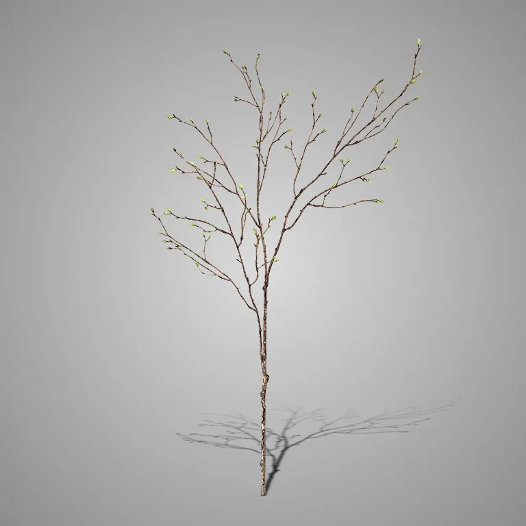 Spring Buds Green 100 cm