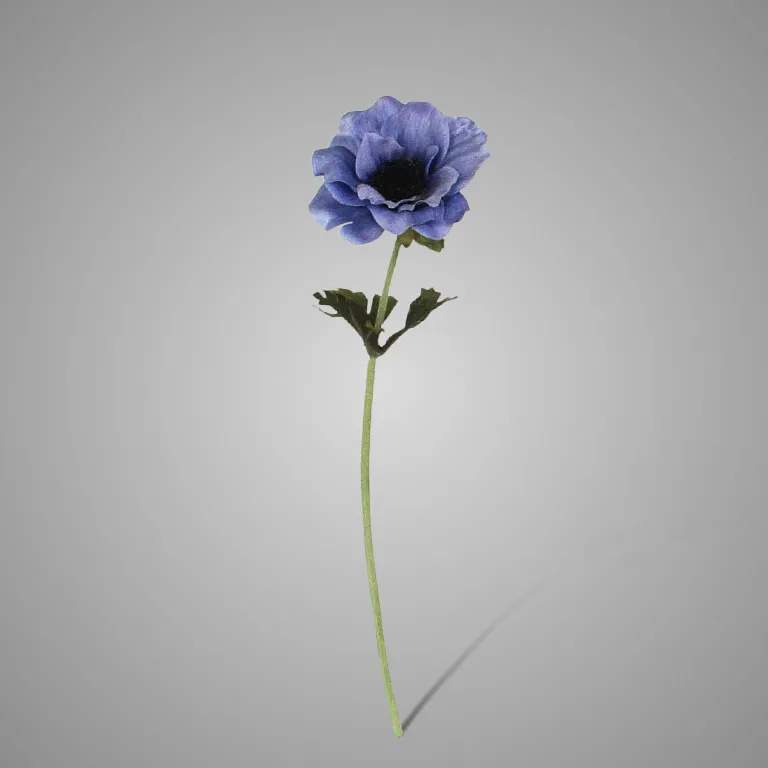 Single Anemone Blue 35 cm
