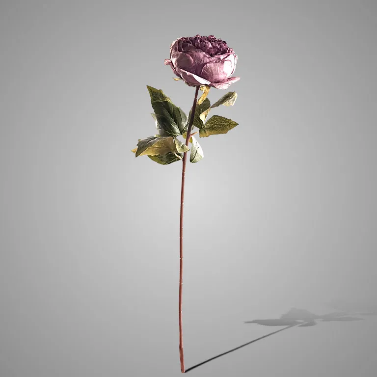 Peony Cup Flower Dark Pink 60 cm