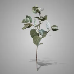 Eucalyptus Stem Grande Leaf 115 cm