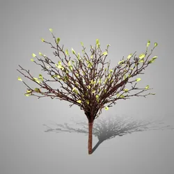 Bush Spring Green 50 cm