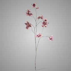 Prunus Grande Luxury Aubergine 120 cm