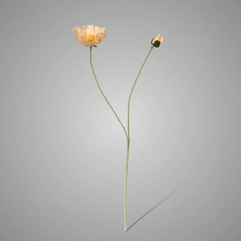 Poppy Light Pink 107 cm