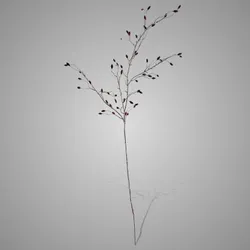 Wild Rose Bud Red 145 cm