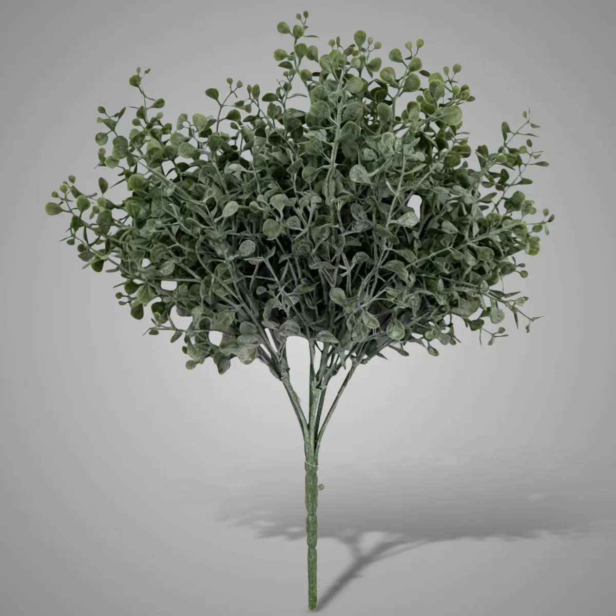 Ginkgo Bush Grey 33 cm