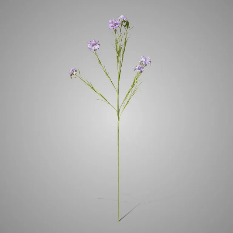Cornflower spray James purple 90cm