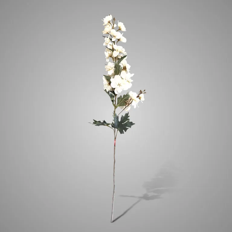 Delphinium White 82cm