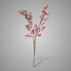 Sortment Forsythia Pink 95 cm