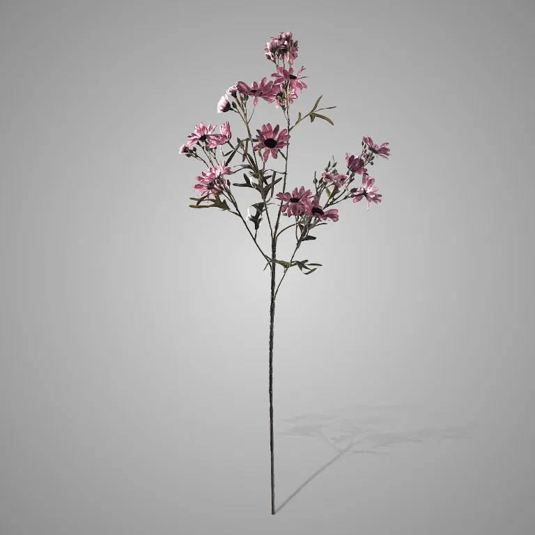 Chrysanthemum Purple 90 cm