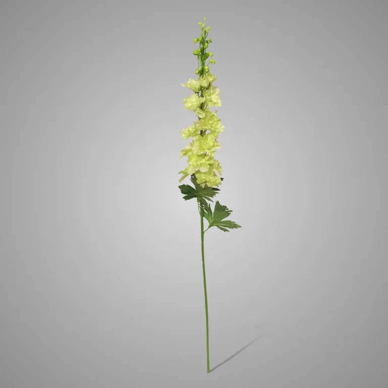 Delphinium Light Green 79 cm