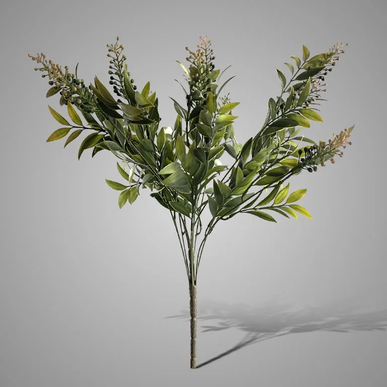 Lonicera Bush Green 50 cm